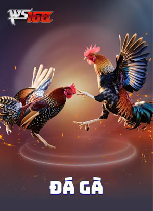 Trò Chơi Bingo